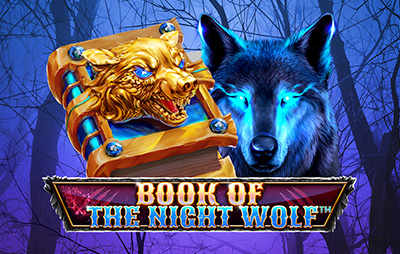 Book of the Night Wolf